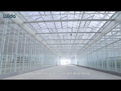 Glazen broeikas Metalen framedelen