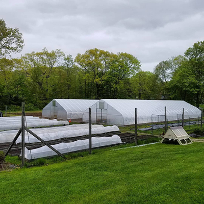 Goedkope van de Dekkings Lage Kosten van de Tomaten Landbouw Plastic Film Economische de Tunnelserre voor Groente
