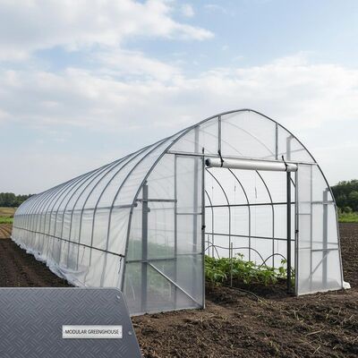 Customizable Height Greenhouse Tunnels With Hot Rolled Steel Panels And Waterproof PE Cover For Durable Hothouse Passages